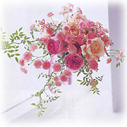 �������u���U�[�~�V���@�J���`���[�����@�R�~���j�e�B�X�y�[�X�@�~�V�������h�@�u�[�P�H�[